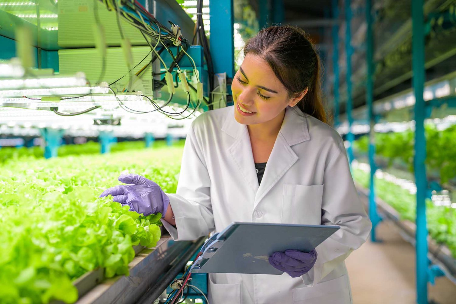 agro – 2